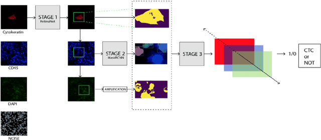Figure 1 for Automated Multi-Process CTC Detection using Deep Learning