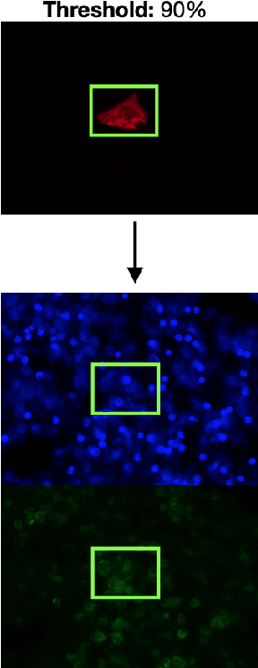 Figure 3 for Automated Multi-Process CTC Detection using Deep Learning