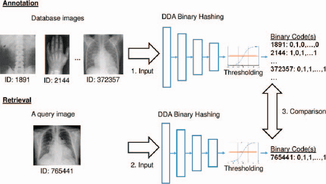 Figure 1 for Binary Codes for Tagging X-Ray Images via Deep De-Noising Autoencoders