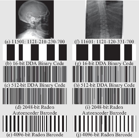 Figure 3 for Binary Codes for Tagging X-Ray Images via Deep De-Noising Autoencoders