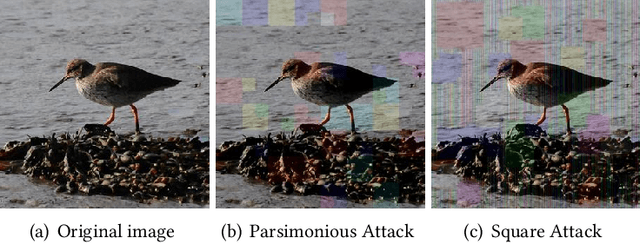 Figure 1 for Saliency Attack: Towards Imperceptible Black-box Adversarial Attack