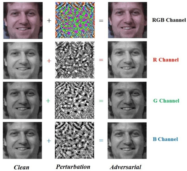 Figure 3 for Threat of Adversarial Attacks on Face Recognition: A Comprehensive Survey