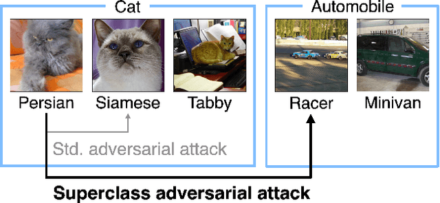 Figure 1 for Superclass Adversarial Attack