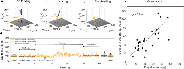 Figure 3 for Microplankton life histories revealed by holographic microscopy and deep learning