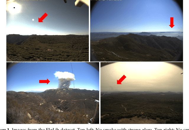 Figure 1 for FIgLib & SmokeyNet: Dataset and Deep Learning Model for Real-Time Wildland Fire Smoke Detection