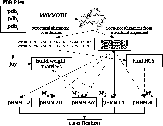 Figure 1 for A study of structural properties on profiles HMMs
