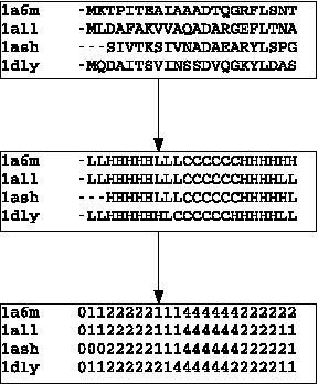 Figure 3 for A study of structural properties on profiles HMMs