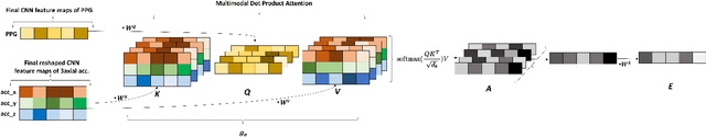 Figure 1 for Multi-Head Cross-Attentional PPG and Motion Signal Fusion for Heart Rate Estimation