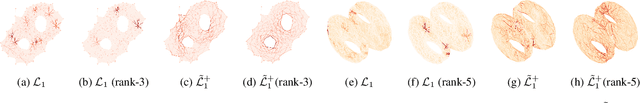 Figure 1 for Dist2Cycle: A Simplicial Neural Network for Homology Localization