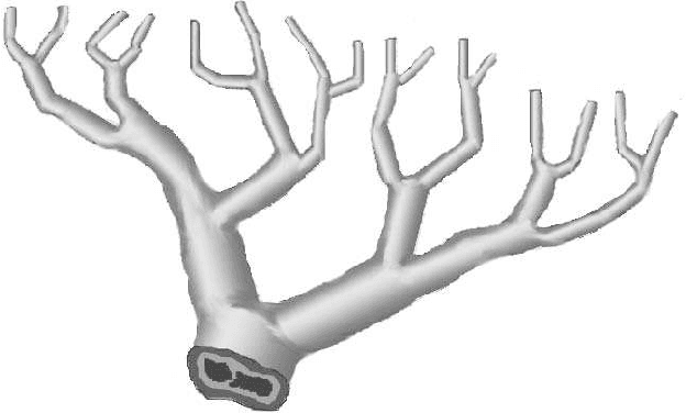 Figure 1 for Long-term neuronal behavior caused by two synaptic modification mechanisms