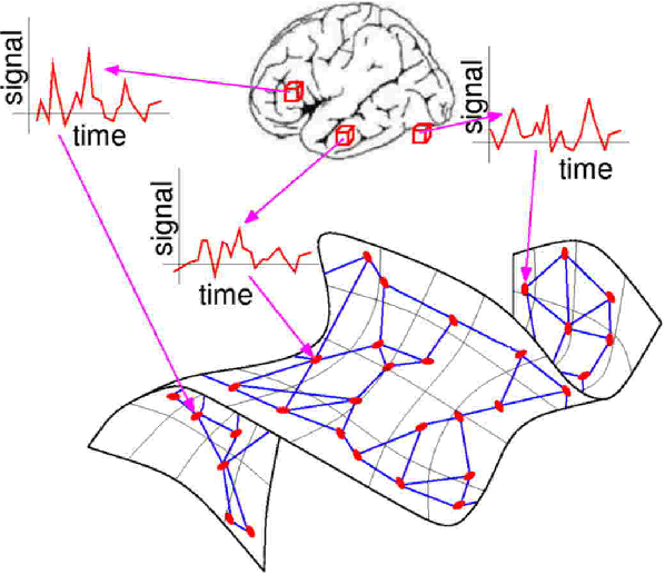 Figure 1 for Low Dimensional Embedding of fMRI datasets