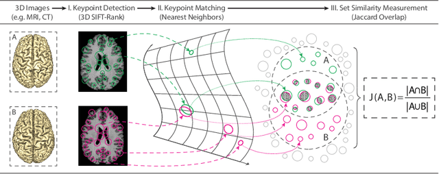 Figure 1 for Curating Subject ID Labels using Keypoint Signatures