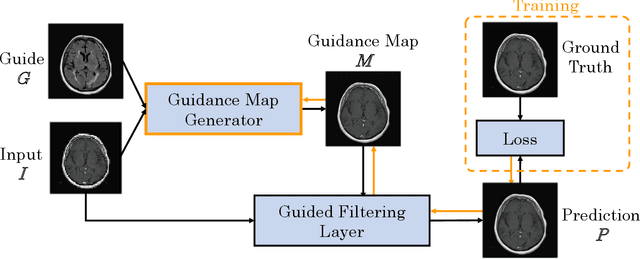 Figure 1 for Multi-modal Deep Guided Filtering for Comprehensible Medical Image Processing