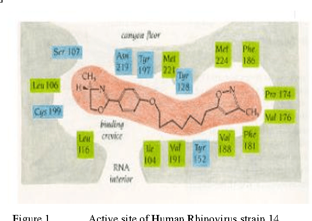 Figure 1 for An Evolutionary Approach to Drug-Design Using Quantam Binary Particle Swarm Optimization Algorithm