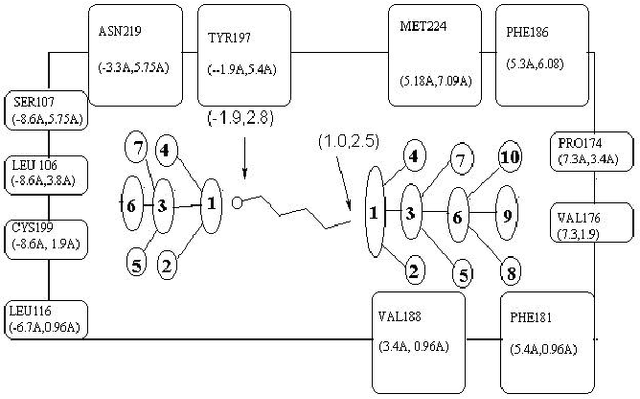 Figure 3 for An Evolutionary Approach to Drug-Design Using Quantam Binary Particle Swarm Optimization Algorithm