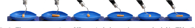 Figure 3 for Robot-Assisted Feeding: Generalizing Skewering Strategies across Food Items on a Realistic Plate