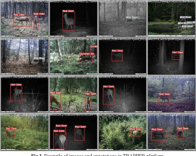 Figure 4 for A first step towards automated species recognition from camera trap images of mammals using AI in a European temperate forest