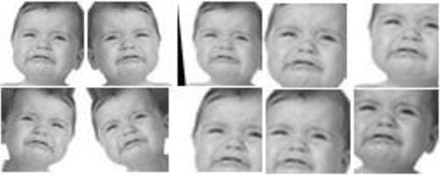 Figure 1 for Facial Expression Recognition Using a Hybrid CNN-SIFT Aggregator