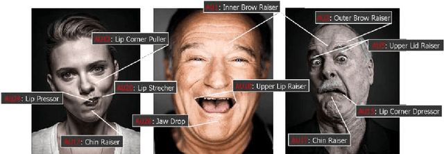 Figure 1 for A Deep Learning Perspective on the Origin of Facial Expressions