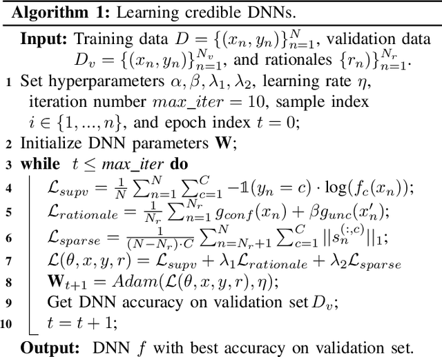 Figure 2 for Learning Credible Deep Neural Networks with Rationale Regularization