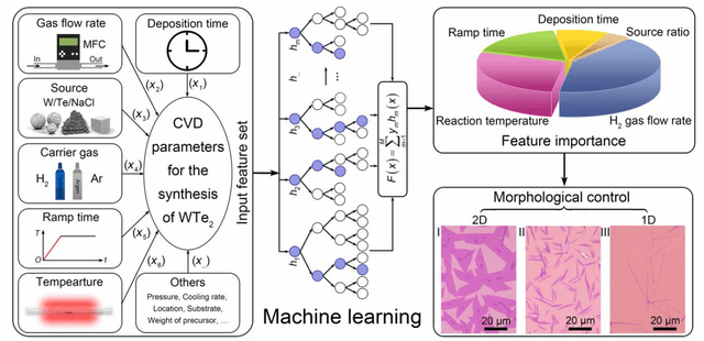Figure 1 for Machine learning driven synthesis of few-layered WTe2