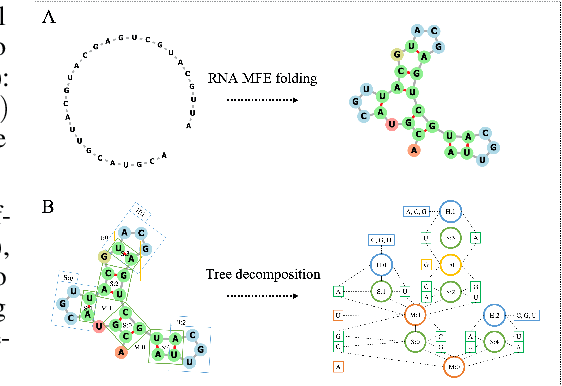 Figure 1 for Neural representation and generation for RNA secondary structures