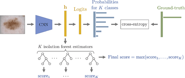 Figure 1 for Out-of-Distribution Detection for Skin Lesion Images with Deep Isolation Forest