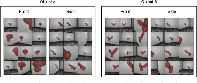 Figure 1 for Controlled-rearing studies of newborn chicks and deep neural networks