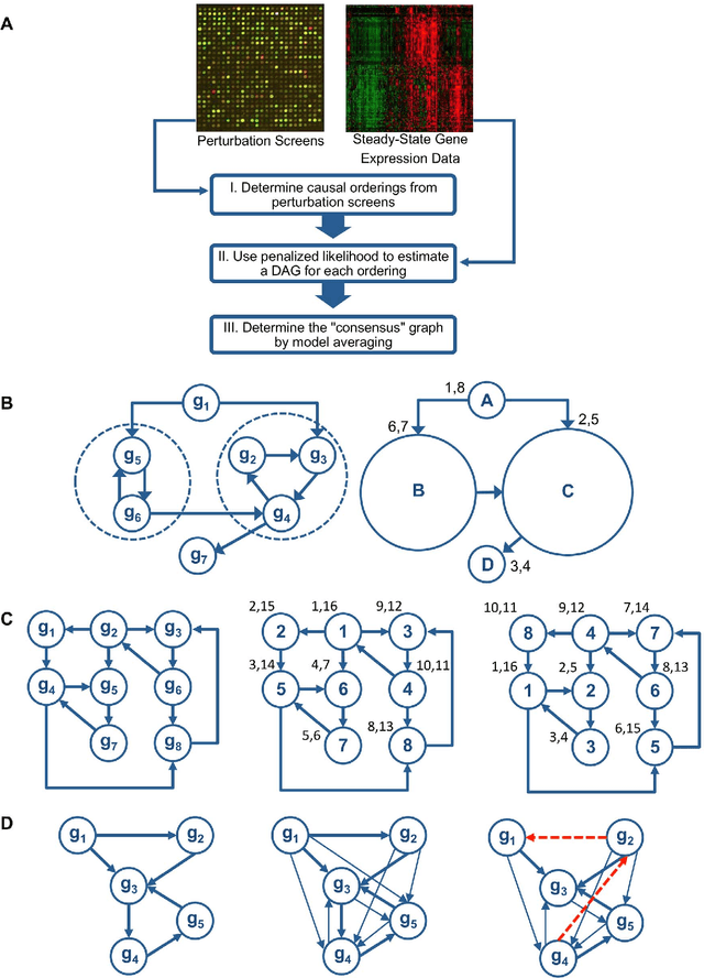 Figure 1 for Inferring Regulatory Networks by Combining Perturbation Screens and Steady State Gene Expression Profiles