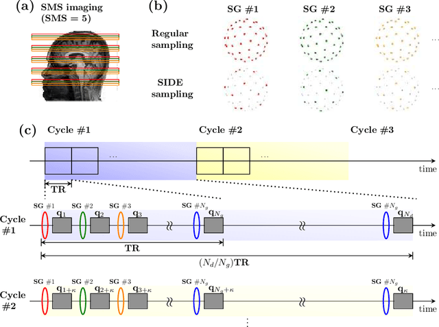 Figure 1 for Multifold Acceleration of Diffusion MRI via Slice-Interleaved Diffusion Encoding (SIDE)