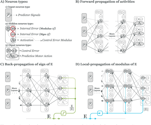 Figure 2 for Sign and Relevance learning