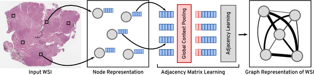 Figure 1 for Representation Learning of Histopathology Images using Graph Neural Networks