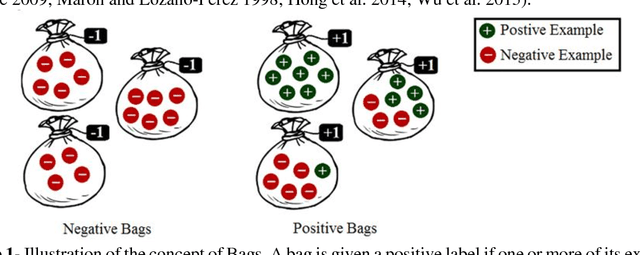 Figure 1 for pyLEMMINGS: Large Margin Multiple Instance Classification and Ranking for Bioinformatics Applications