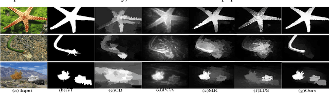 Figure 1 for A novel graph structure for salient object detection based on divergence background and compact foreground