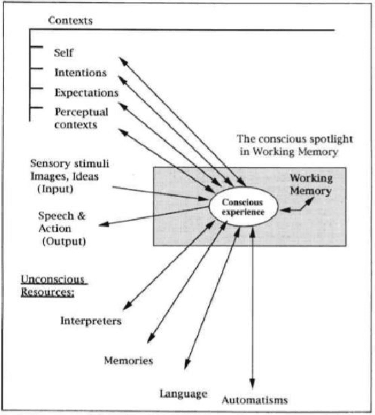 Figure 1 for MIRA: A Computational Neuro-Based Cognitive Architecture Applied to Movie Recommender Systems