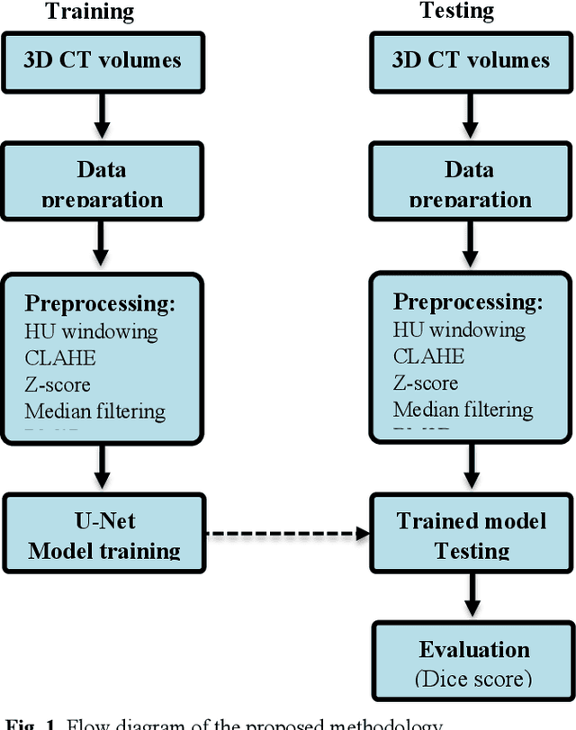 Figure 1 for Evaluation of Preprocessing Techniques for U-Net Based Automated Liver Segmentation