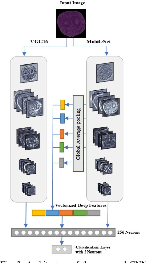 Figure 2 for A Hybrid Deep Learning Architecture for Leukemic B-lymphoblast Classification
