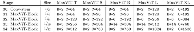 Figure 2 for MaxViT: Multi-Axis Vision Transformer