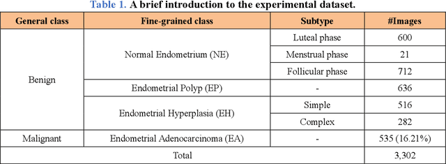 Figure 1 for Computer-aided diagnosis in histopathological images of the endometrium using a convolutional neural network and attention mechanisms