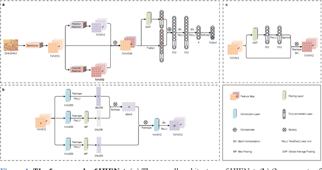 Figure 2 for Computer-aided diagnosis in histopathological images of the endometrium using a convolutional neural network and attention mechanisms