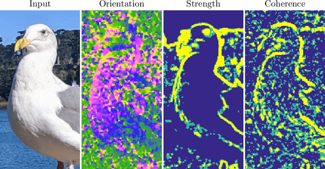 Figure 2 for Solving Image PDEs with a Shallow Network