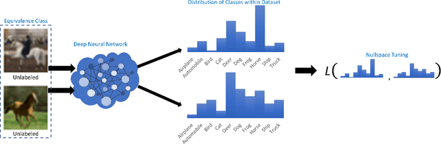 Figure 1 for The Value of Nullspace Tuning Using Partial Label Information