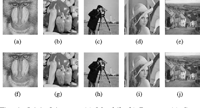 Figure 4 for A blind Robust Image Watermarking Approach exploiting the DFT Magnitude