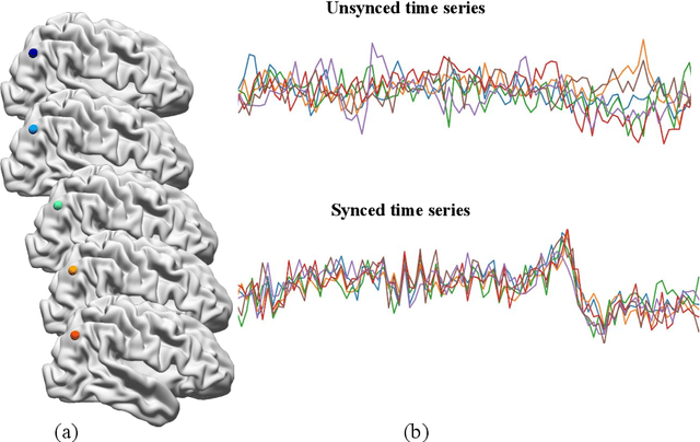 Figure 1 for fMRI-Kernel Regression: A Kernel-based Method for Pointwise Statistical Analysis of rs-fMRI for Population Studies