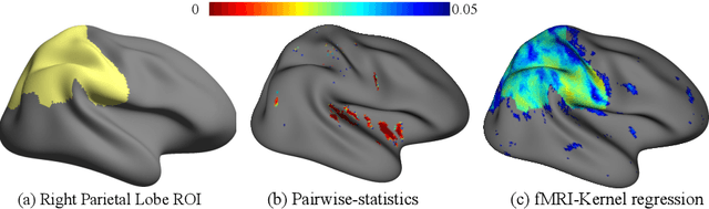 Figure 4 for fMRI-Kernel Regression: A Kernel-based Method for Pointwise Statistical Analysis of rs-fMRI for Population Studies