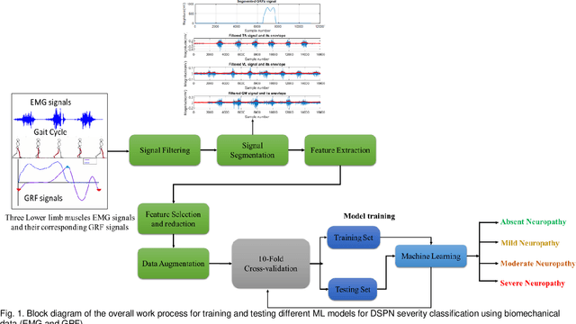 Figure 1 for Evaluating Performance of Machine Learning Models for Diabetic Sensorimotor Polyneuropathy Severity Classification using Biomechanical Signals during Gait