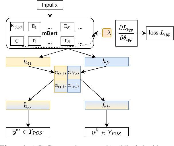 Figure 1 for Does Typological Blinding Impede Cross-Lingual Sharing?