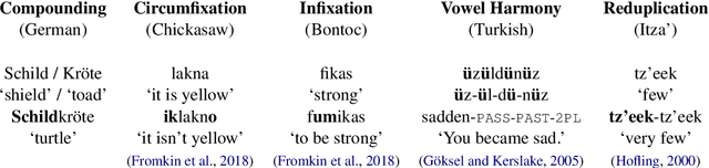 Figure 1 for How Suitable Are Subword Segmentation Strategies for Translating Non-Concatenative Morphology?