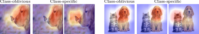 Figure 1 for A Generic Visualization Approach for Convolutional Neural Networks