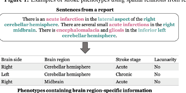 Figure 3 for Leveraging Spatial Information in Radiology Reports for Ischemic Stroke Phenotyping